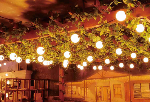 Patented Outdoor led Globe string light, solar powered Patented Outdoor led globe string light